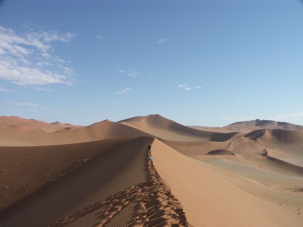 namib desert